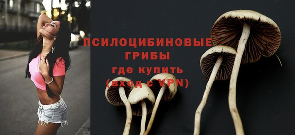 МДМА Коряжма