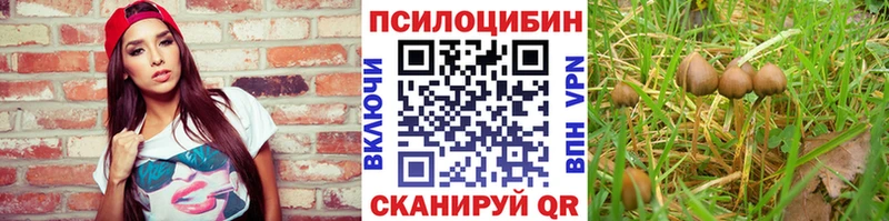 даркнет сайт  Михайлов  Псилоцибиновые грибы Psilocybine cubensis 